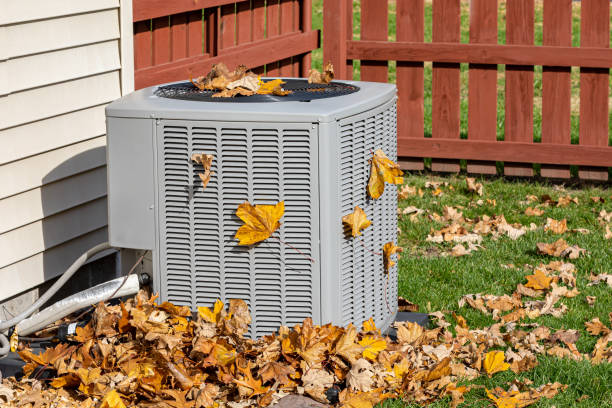 Best Furnace Repair Near Me  in Citrus Park, FL